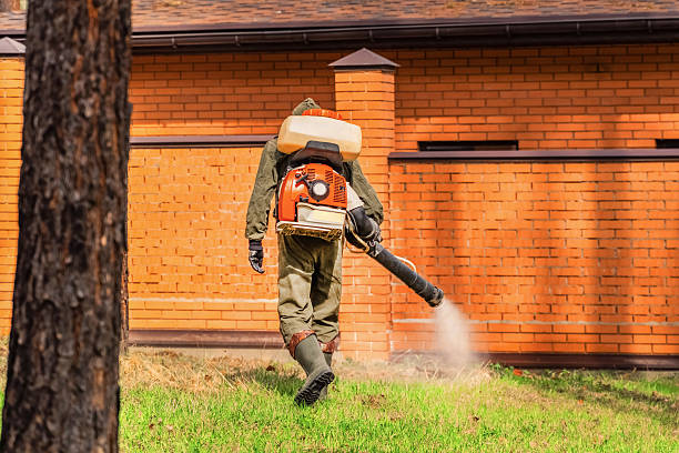 Trusted Ant Control service in Ocean Gate, NJ - Nex Pest Control